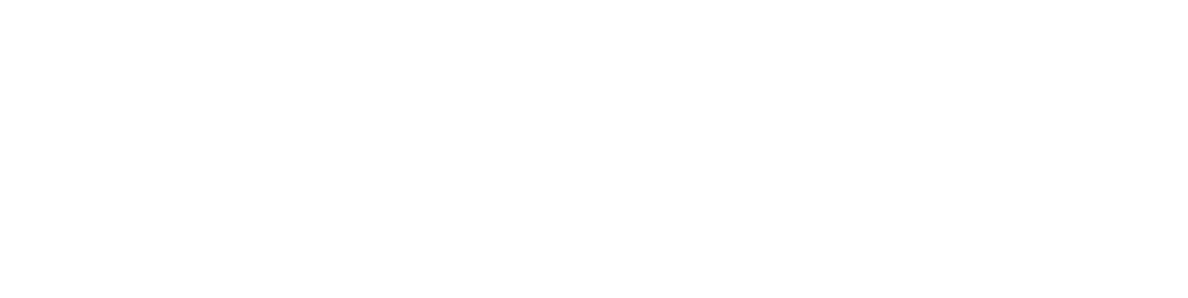 Silberstein Immobilien Logo